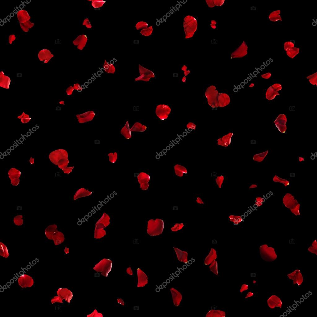 Seamless Red Rose Petals on Black Stock Photo by ©designnatures 61965621